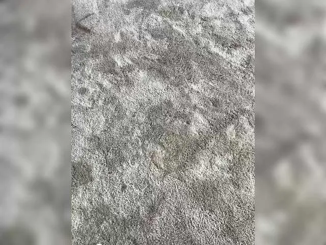 SophieMary – webcam model profile photo